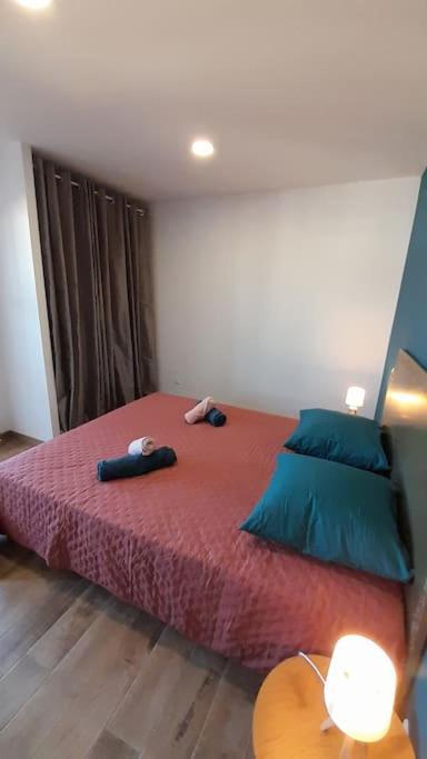 Appartement Lumineux Et Central Проприано Екстериор снимка